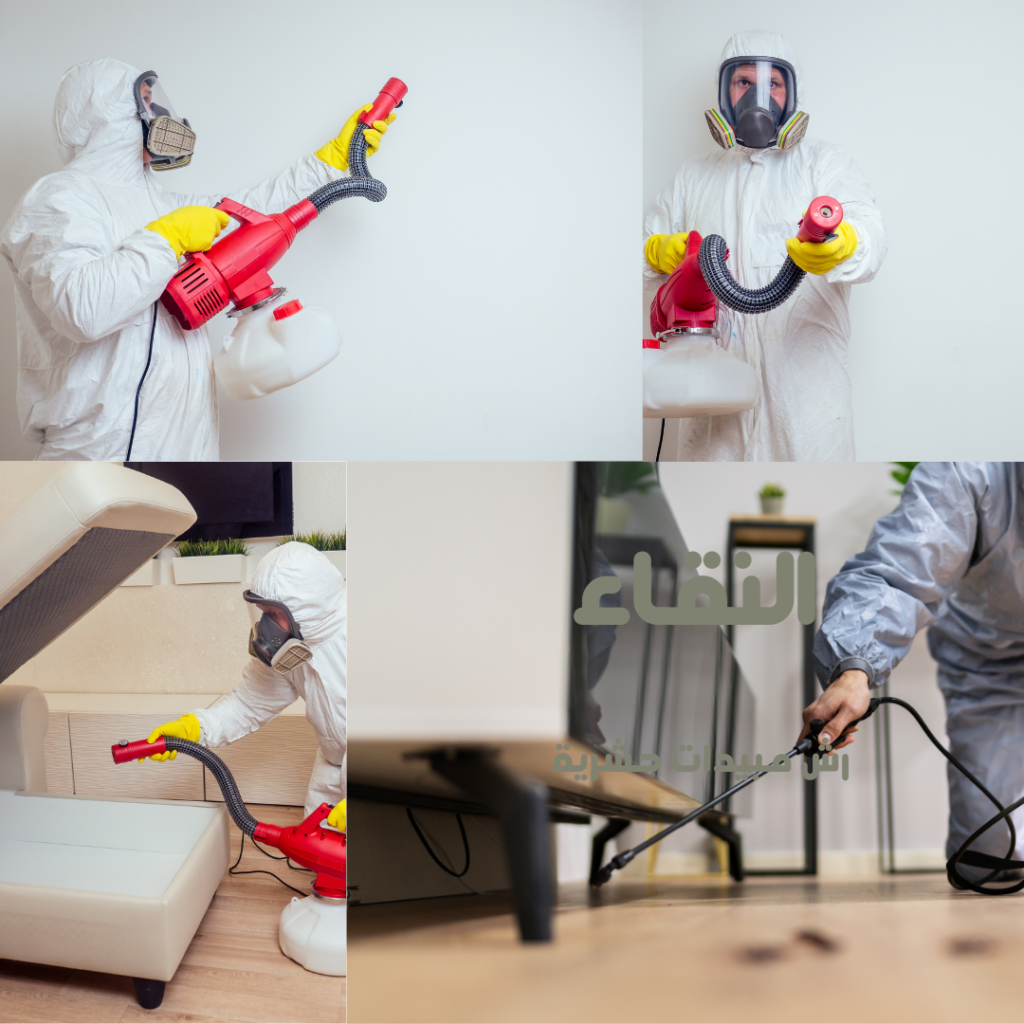 منشور Instagram عناية بالبشرة ألوان ترابية 3 1 1024x1024