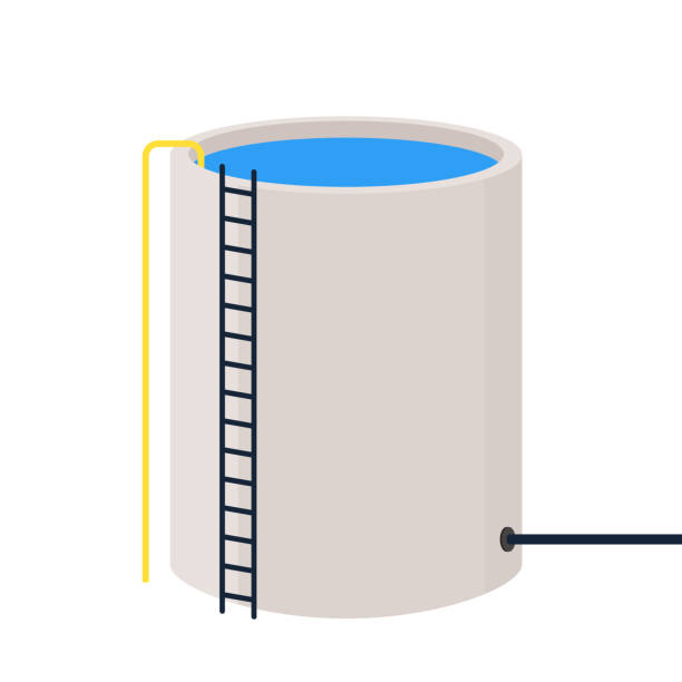 Istockphoto 1485835338 612x612 1