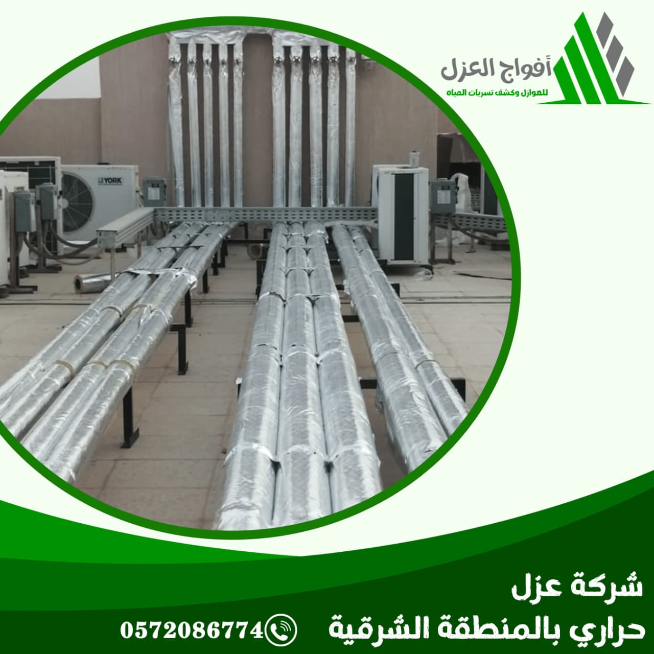 WhatsApp Image 2026 02 06 at 10 13 59 AM 1