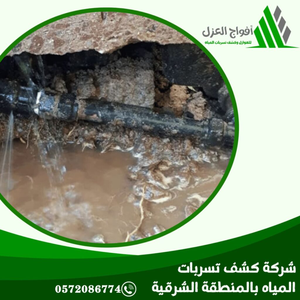 WhatsApp Image 2026 03 04 at 7 39 34 AM 1024x1024